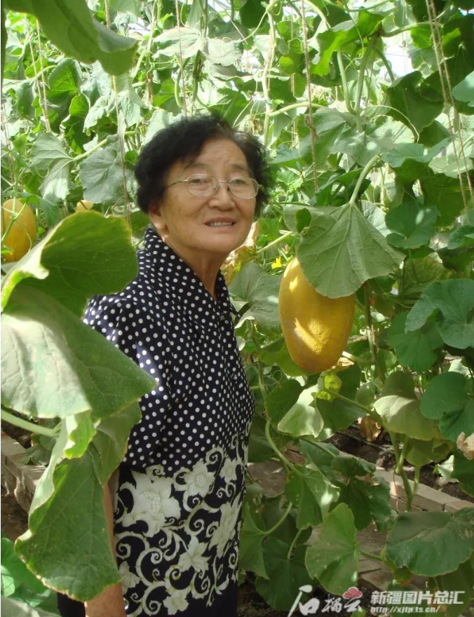 水果奶奶论坛介绍