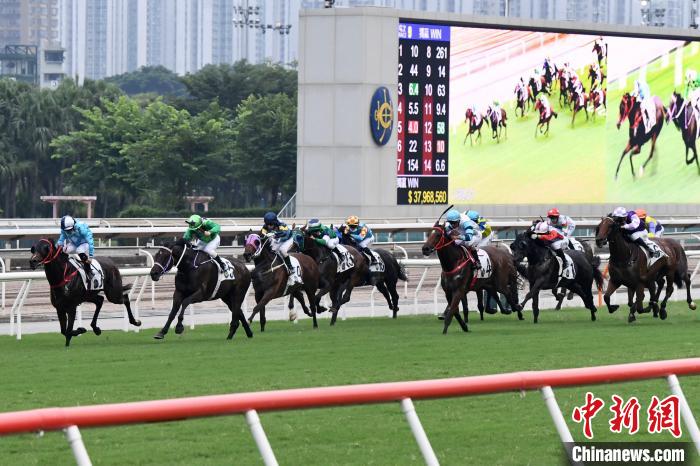 香港赛马会最准资料免费资料2023年