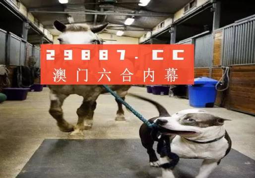 澳门一肖一码一中一肖西