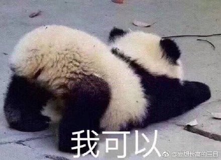澳门四不像图正版资料大全下载63期的