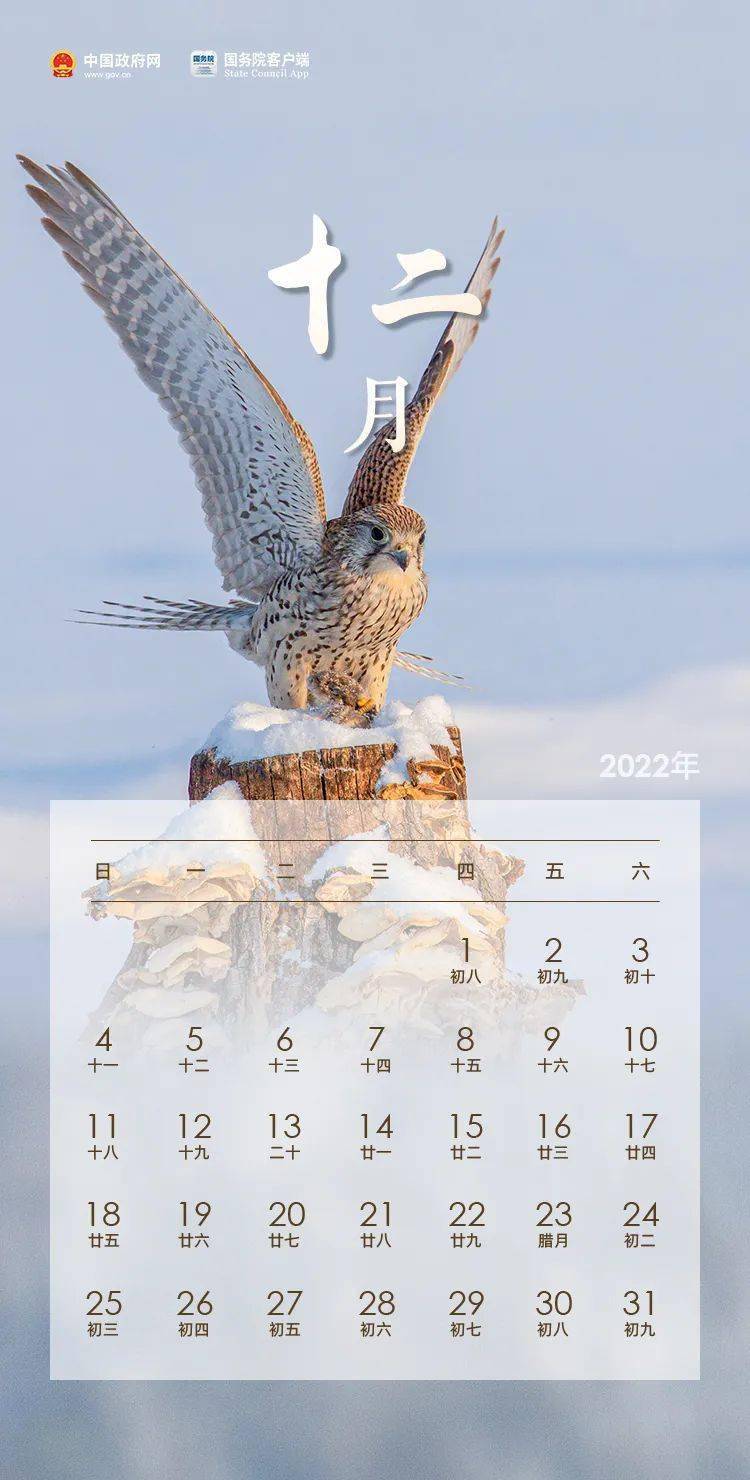 2022年澳门今晚特马图