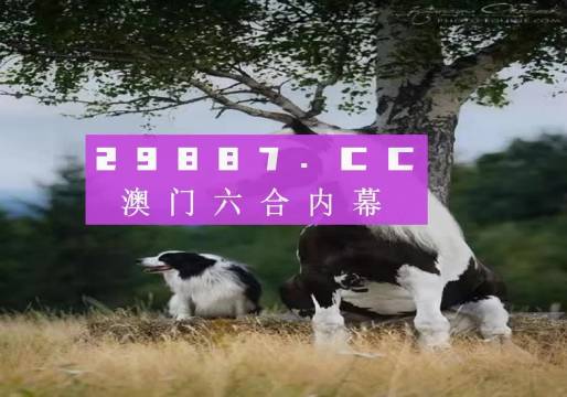 澳门2021年正版资料