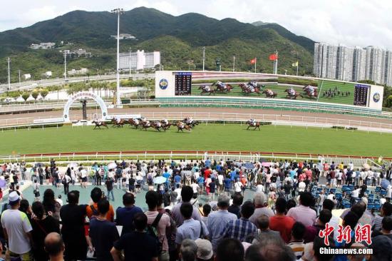 香港正版马会免费资料大全