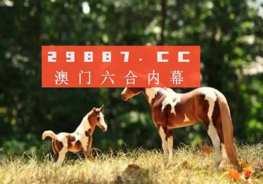 正版马会全年免费资料:专注2o19