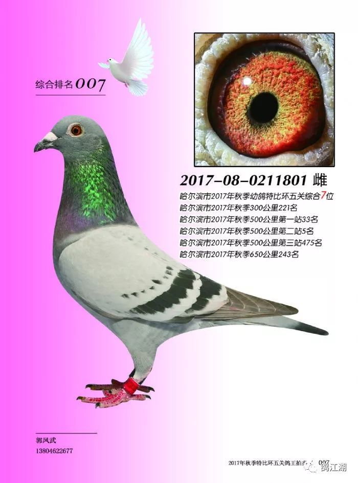 天牛3d图红五图库汇总试机号陈华