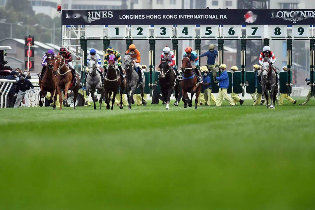 香港马会2021年开奖日期
