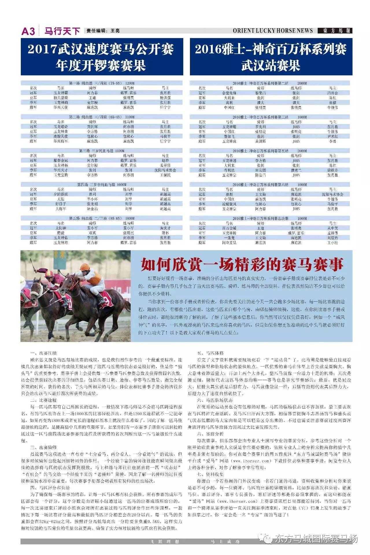 买马资料图2018第19期