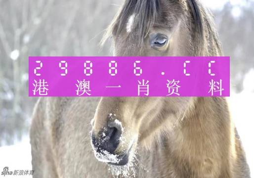 澳门一肖一码100精准正版诗象