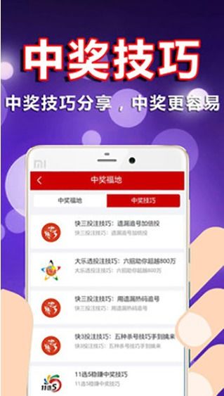粤彩网，探索彩票的新世界粤彩网站