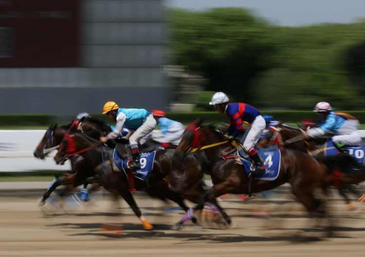 2019香港马会资料大全免费—全方位了解赛马世界的门户香港2021年马会资料大全