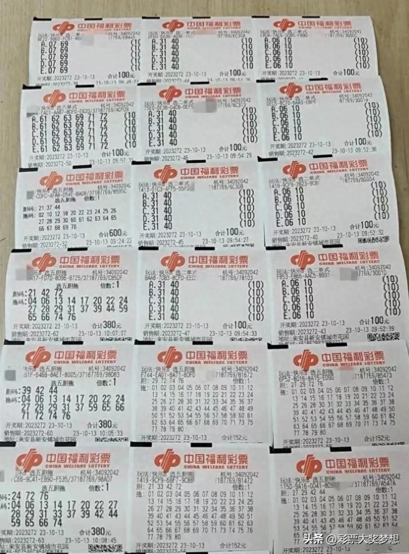 海南七星彩论坛，探索与分享的乐趣海南七星彩论坛区