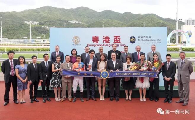 香港马会资料大全2019，赛马运动的繁荣与多元发展