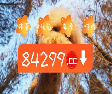 澳门天天彩开奖结果查询方法详解澳门天天彩开奖结果查询方法最新