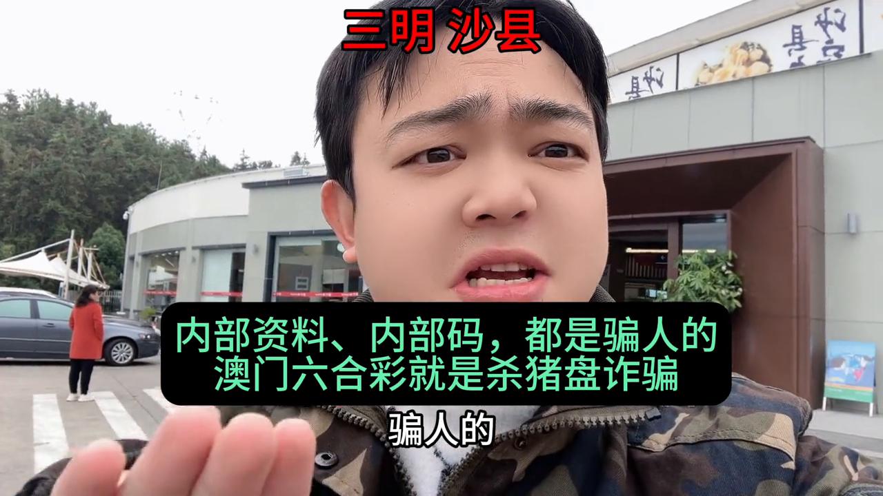 新澳门六开彩资料查询，探索彩票世界的魅力与机遇