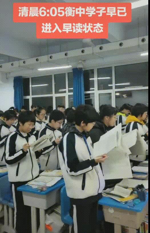 二四六正版免费资料大全，探索知识的宝库，实现学习的自由天地二四六资料免费天天看
