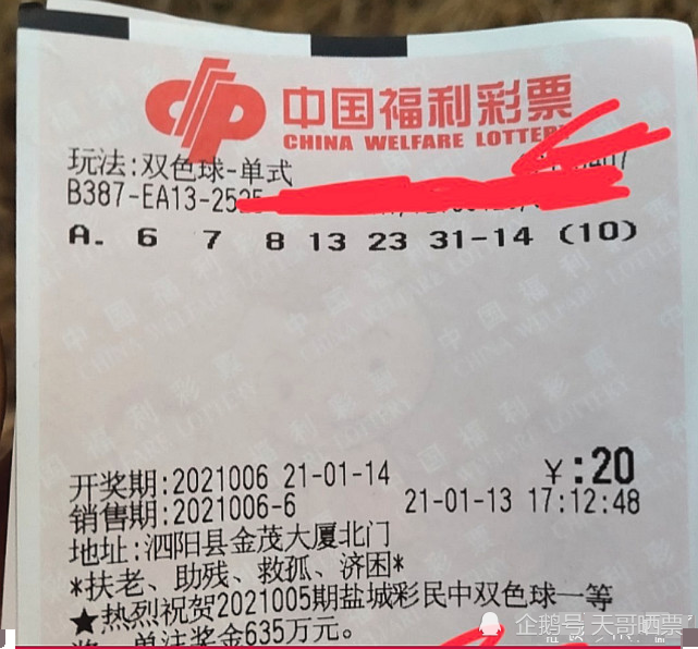 双色球2023100期开奖结果查询