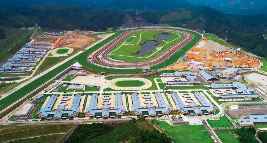 香港正马会资料，历史、发展与影响