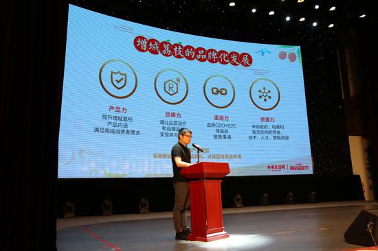 揭秘彩票奥秘，最准一肖与精准开奖结果探索1肖1码准100期