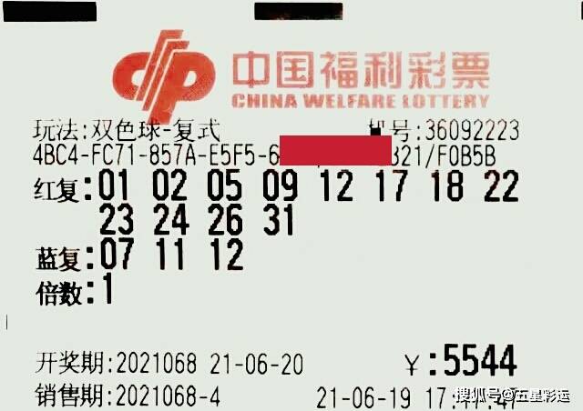 双色球203期开奖结果揭晓，幸运与惊喜交织之夜双色球2023100期开奖结果查询