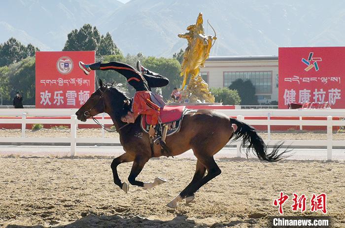 香港赛马文化，探索马术运动的魅力与活力今天香港开什么特马人民日报任平文章