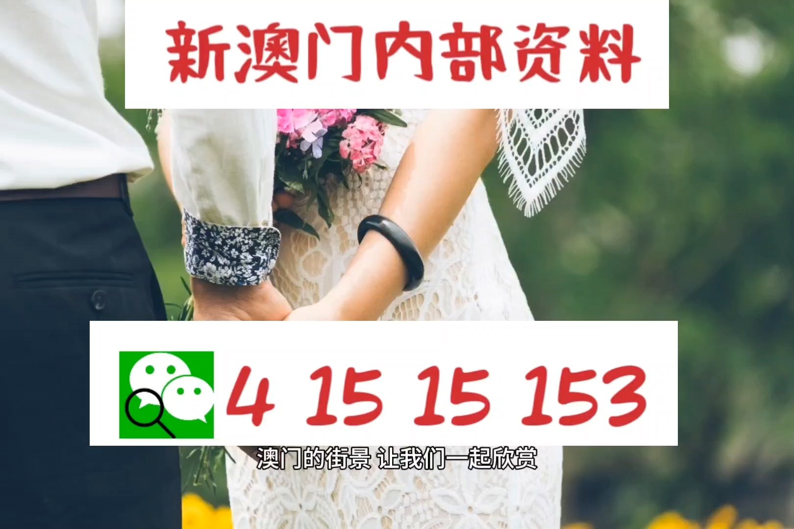 新澳门最新最快资料，探索与发现2025新澳门最精准免费大全