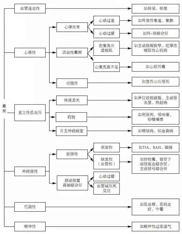澳门最准一肖公开管家婆，揭秘精准预测背后的秘密