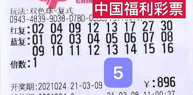 澳门马今晚开奖结果，揭晓与期待2023澳门马今晚开奖结果图片