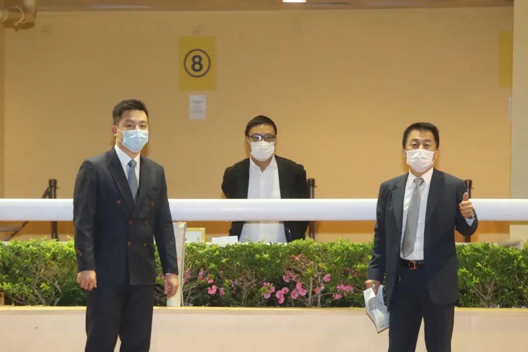 香港正马会资料，历史、发展与影响