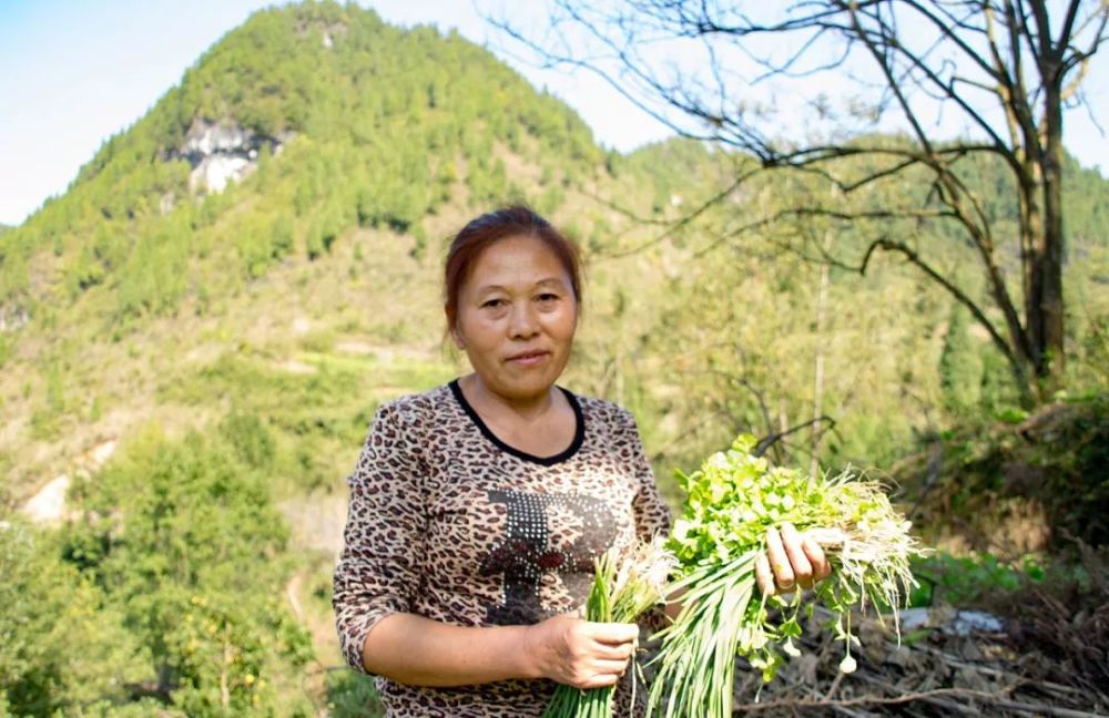 探索管家婆开奖资料大全—掌握彩票信息的宝库管家婆 开奖