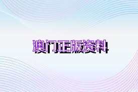 澳门新资料大全正版20XX年免费下载，探索与启示2025年新澳门全年免费