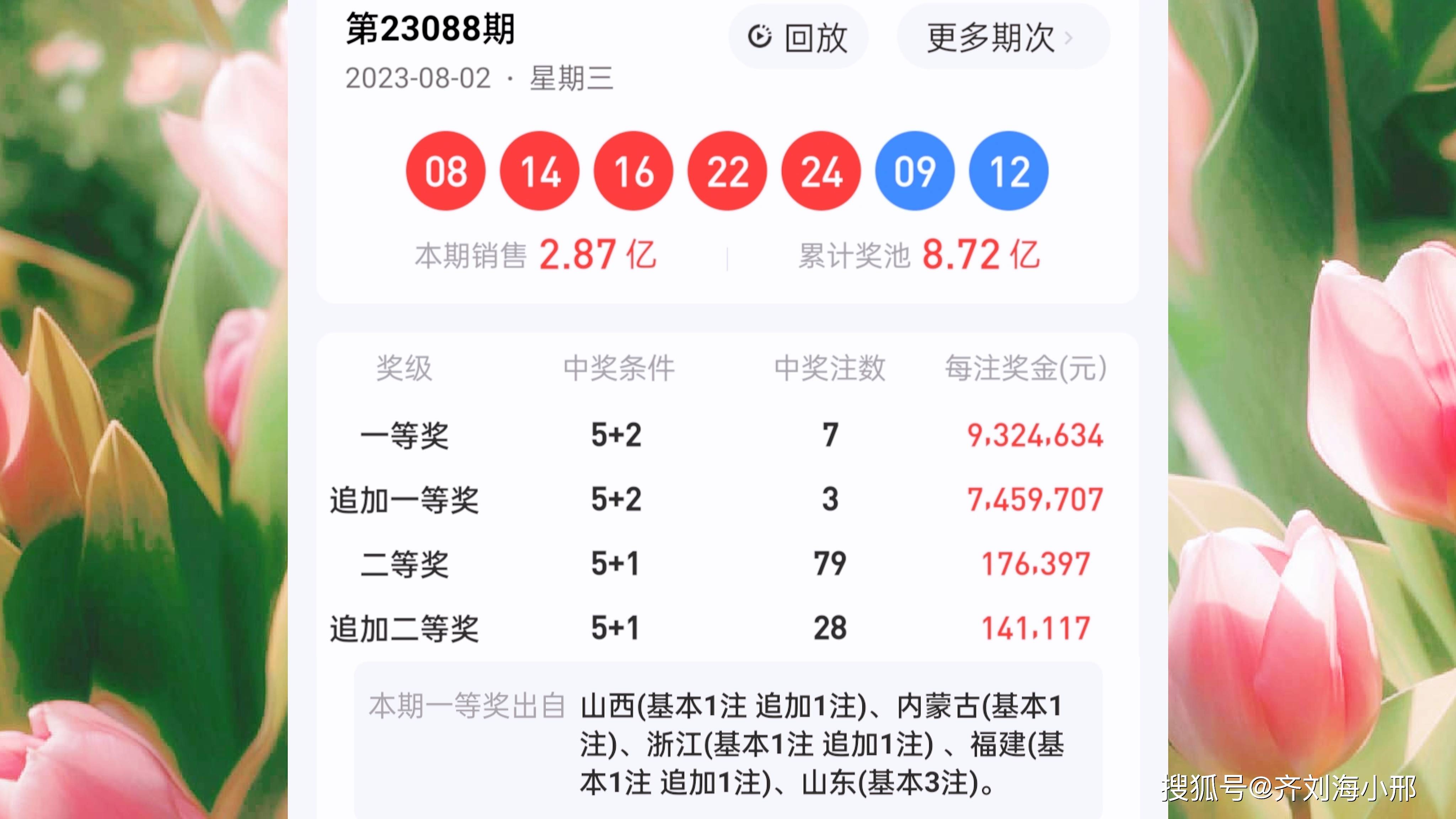 今期特马开奖结果揭晓，揭秘彩票背后的故事今期特马开奖结果号码