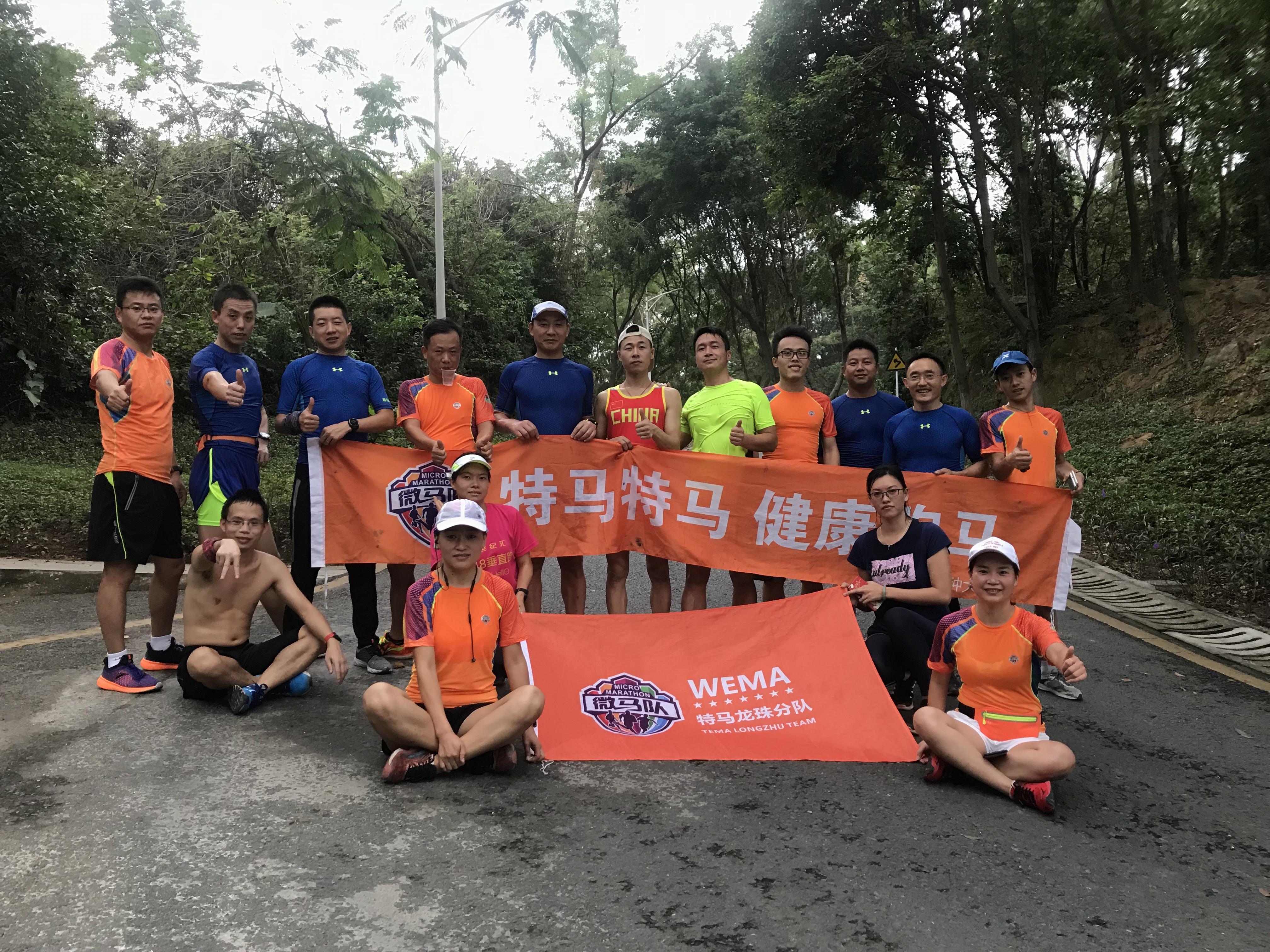 今晚特马码，揭秘与探索今晚特马码120期