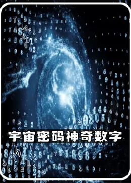 探索www.493３com，数字世界的神秘角落