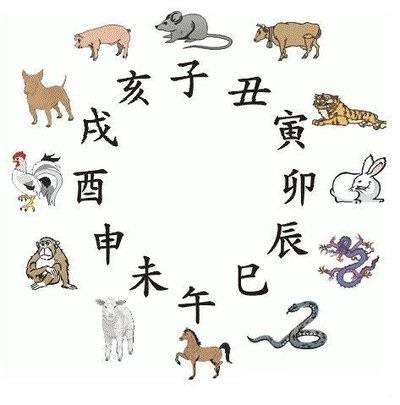 王中王的奥秘，探索493与特殊生肖的独特魅力王中王493333中特一网|493333王中王开奖结果