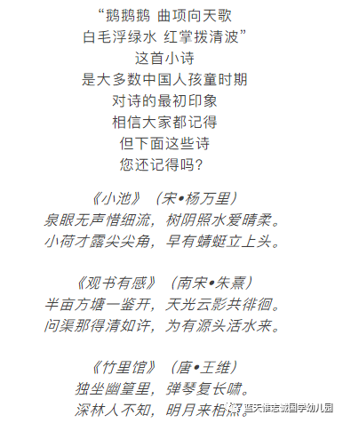 白小姐49精准一句诗的魅力与神秘白小姐449999精准一句诗44