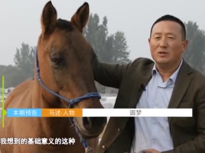 马中特的独特魅力与影响，探索三个关键词背后的故事3马中特期准三马中特期期提前开