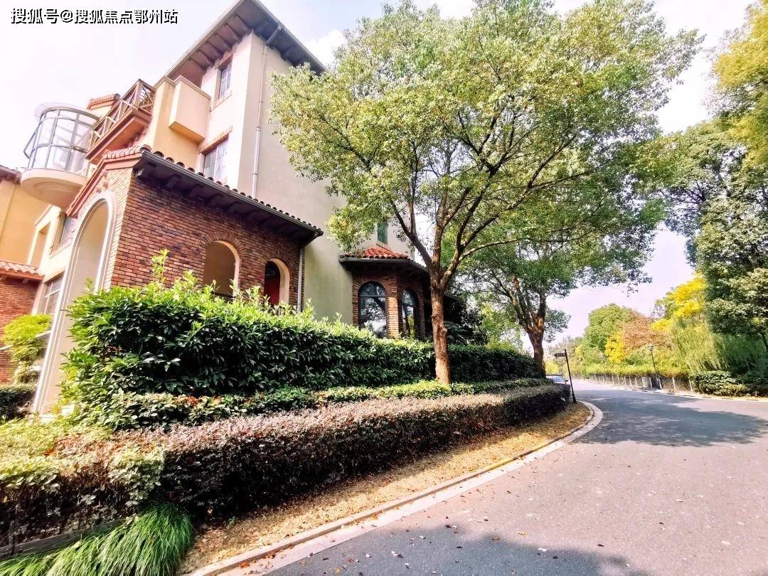 澳门新期开奖号码探索，近三十期的数据解析新澳门近30期开奖号码记录