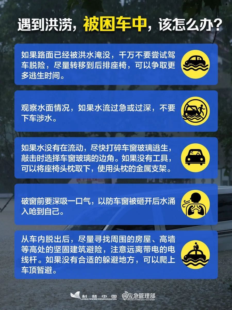 澳门6张牌照归属详解，视频教程简易指南澳门六张牌照